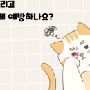 장호원동물병원 네이버블로그