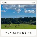 오름 | 제주 서귀포 오름 추천 물영아리오름 여름 후기