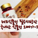 주식회사더에스엔티 | 건강기능식품, 레드식물성 필수지방산 (국내산 식물성 오메가-3)