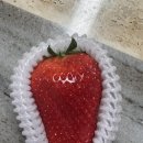 닥엔돈스 안성공도점 이미지