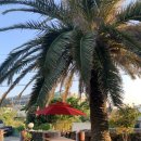 스테이 협재10길 이미지