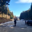 보성아이스크림 이미지