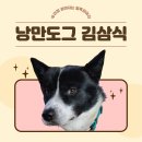 낭만 Dog 이미지