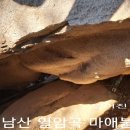 보광사정류장~용문사~마석산정상~대포바위~맷돌바위~가시개바위~삼지창바위~북토리정류장~다시 열암곡 주차장~석불좌상과 엎드려계부처님 친견 이미지