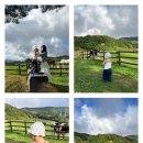 일화목장 이미지