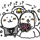 엠씨티 짐 시청 | W5. 겁나 꼼꼼한 신부의 웨딩홀 선정 기준 &amp; 3개월간의 가성비 웨딩홀 19곳 손품 리스트 및 솔직 후기