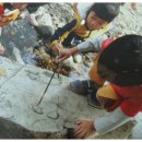 보고유치원 이미지