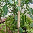 만복경로당 이미지