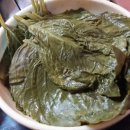 고래등바다장어 이미지