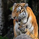 아이모텔 이미지