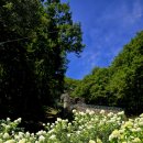 울산 어물동 마애약사여래삼존상 이미지