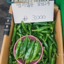대라상회