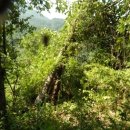 대구지방법원 영덕지원 이미지