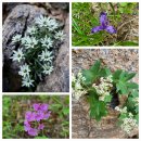 제 756차 대구등고선산악회 토요정기산행 // 설악 "공룡능선" // 5월 16일 금요일 // 22:00 법원출발 이미지