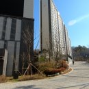 행운대장공인중개사사무소 이미지