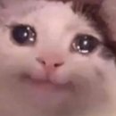 서울사진관 이미지