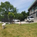 퍼피플리즈 이미지