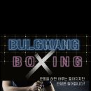 불광복싱클럽 이미지