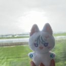 동해물과백두산이 이미지