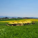 윤용하 농장 이미지