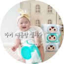 신생아 물티슈 추천 순둥이 엘그린 엘블루 대용량물티슈