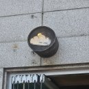 성수카인테리어 | [성수 소금빵 맛집] 자연도소금빵 인 성수 내돈내산 솔직후기(맛•가격•웨이팅•메뉴 총정리)