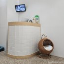 무드그루밍 이미지