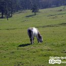 금악리경로당 이미지