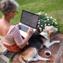 쁘띠헤어 이미지