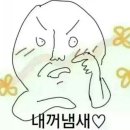 에코카