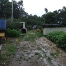 모후농장 이미지