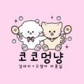 코코멍냥 이미지