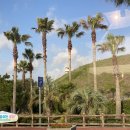 제주인관광호텔 이미지