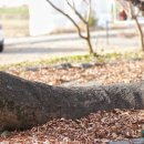 신포마을 이미지