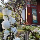 한량 - 강릉시 | 한량