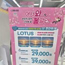 으뜸플러스안경 포항오천점 | 마음놓고 골랐던 으뜸플러스 포항 안경