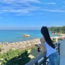 베누스안경 | [양양] 쏠비치 이용 꿀팁 스위트 오션뷰 룸 업그레이드 후기 펫 프렌들리 취사형