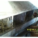 일표농장 이미지