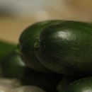 우성농장 | 수분많고 야들 아삭 미니오이. 농라 남안동우성농장