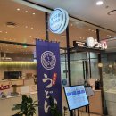 중부대로30 | 용인 수지 맛집 우동키노야 30cm장어 우동 후기