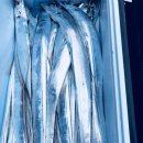 일오삼낚시 이미지