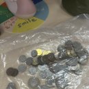 인경켄넬 | 미국 LA 여행 1일차(강아지 이동봉사,출국,유심,렌트,보험,Short stories hotel)