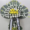 조치원읍 중앙요양병원 이미지