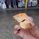 코끼리투어