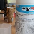 로얄크린 이미지