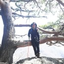 산내면 반선마을 이미지