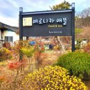 베로니카애뜰