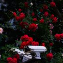 GS25 연남공원점 이미지