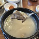 울산깍두기