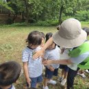 8월 10일 대왕암 숲수업 🌳🌳 이미지
